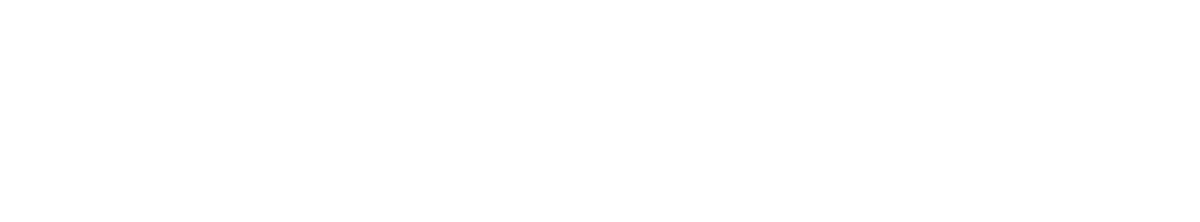 スッパイ大作戦ロゴ