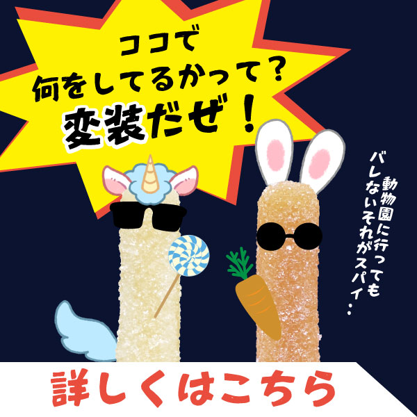 変装フォトコンテスト開催中！詳しくはこちら！